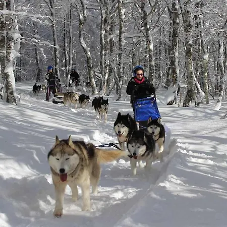 Horizon Aubrac Panzió *
