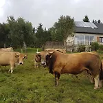 Horizon Aubrac *