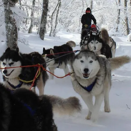 Frühstückspension Horizon Aubrac *