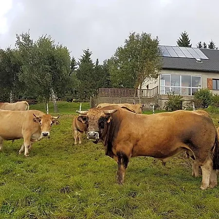 Horizon Aubrac Bed and Breakfast Laguiole